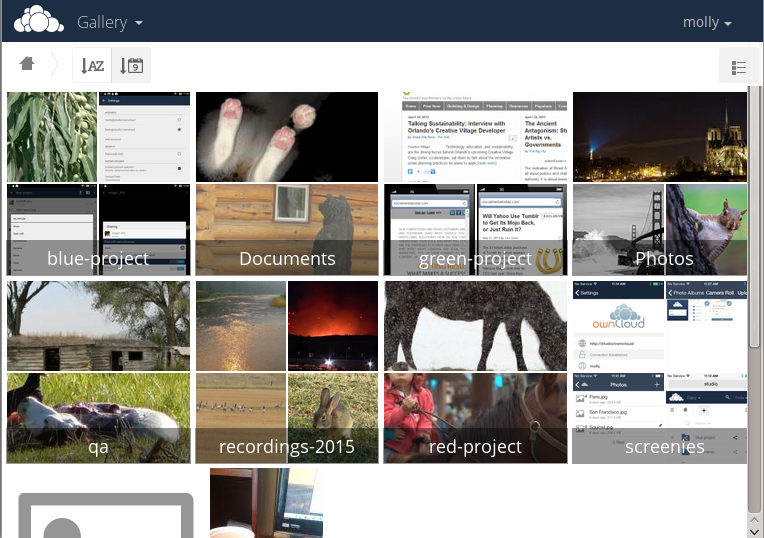 Gallery folder thumbnails.